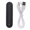 USB rechargeable mini bullet vibrator with 10-speed settings