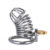 chastity cage, BDSM, restraint device, male chastity, adult toys